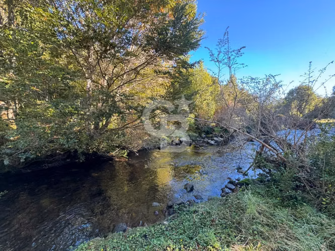 Parcela con orilla de río y bosque nativo Puerto Varas
