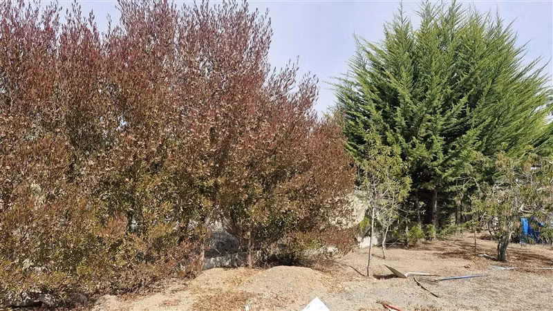 Parcela en venta en Algarrobo