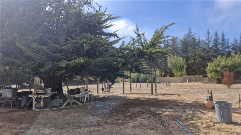 Parcela en venta en Algarrobo