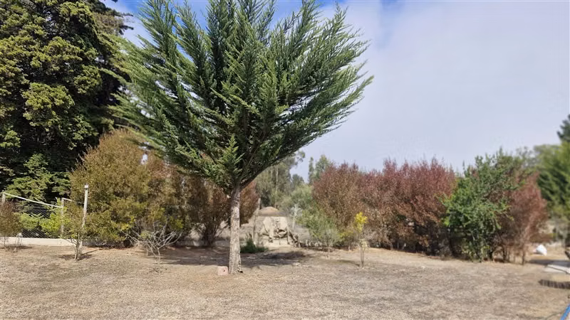 Parcela en venta en Algarrobo