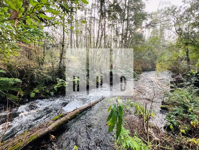 Sitio en Condominio con río privado! (166665) - Imagen 3