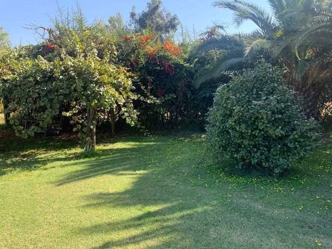 Oportunidad de Inversión en Zona Tranquila (166674)