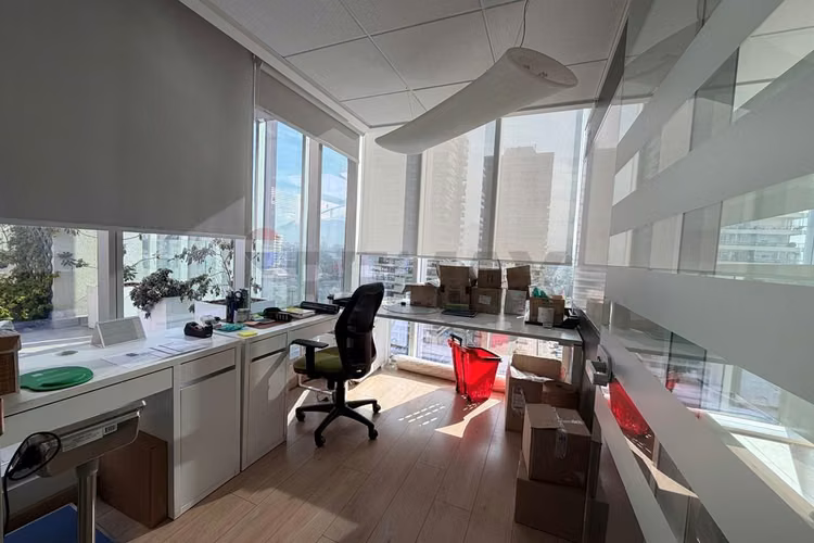 Los dominicos oficina con terraza en azotea 529 m2