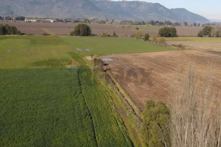 Se venden 12.5 hectáreas en colchagua