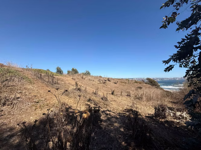 ESPECTACULAR OPORTUNIDAD 2 TERRENOS DE 5000MT (166701)