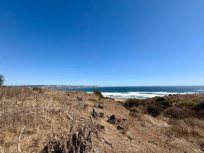 ESPECTACULAR OPORTUNIDAD 2 TERRENOS DE 5000MT (166701)