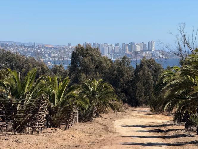 ESPECTACULAR OPORTUNIDAD 2 TERRENOS DE 5000MT (166701)