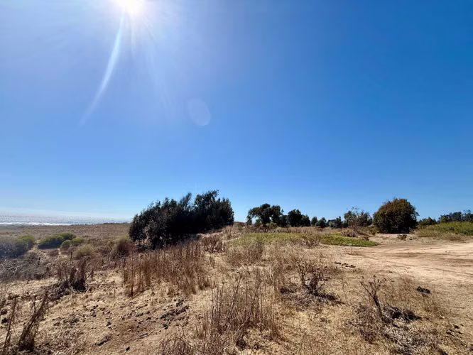 ESPECTACULAR OPORTUNIDAD 2 TERRENOS DE 5000MT (166701)