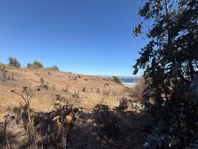 ESPECTACULAR OPORTUNIDAD 2 TERRENOS DE 5000MT (166701)