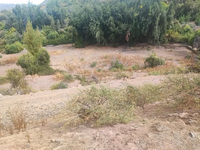 VENTA DE PARCELA EN SAN ESTEBAN |URETA BRAVO PROPIEDADES|