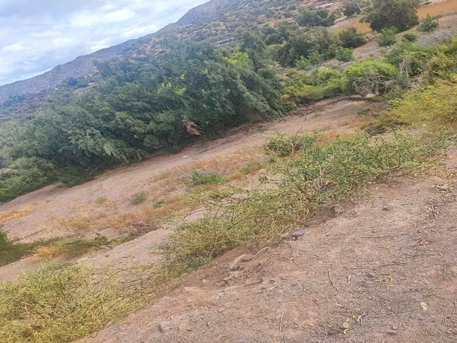 VENTA DE PARCELA EN SAN ESTEBAN |URETA BRAVO PROPIEDADES|