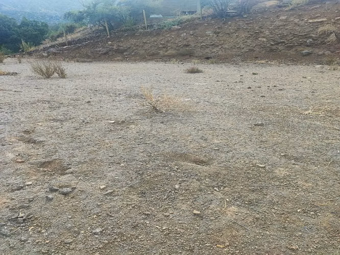 VENTA DE PARCELA EN SAN ESTEBAN |URETA BRAVO PROPIEDADES|