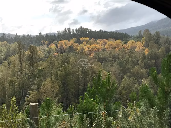 Agrícola en venta en Loncoche