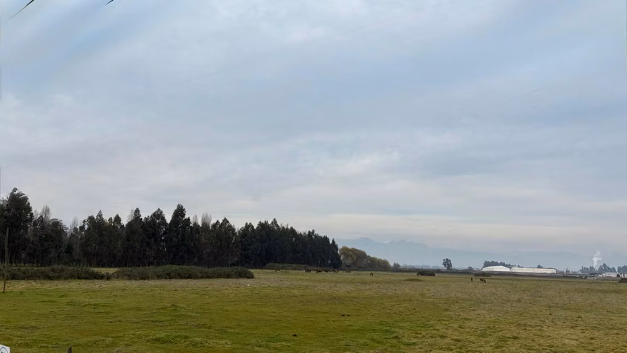 VENTA SITIO AGROINDUSTRIAL EN RUTA 5 TENO - Imagen 5