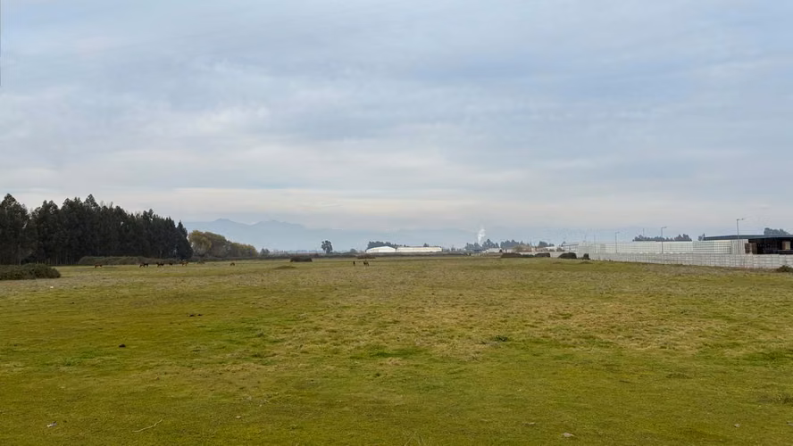 VENTA SITIO AGROINDUSTRIAL EN RUTA 5 TENO - Imagen 2