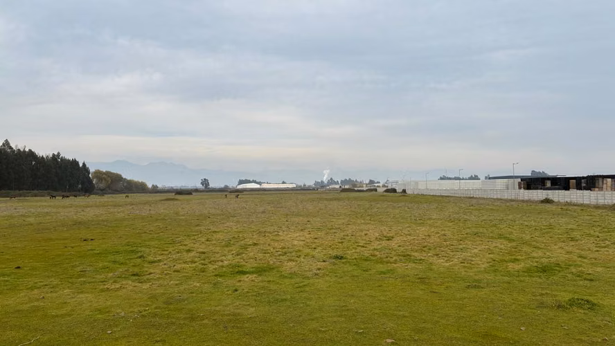 VENTA SITIO AGROINDUSTRIAL EN RUTA 5 TENO - Imagen 3