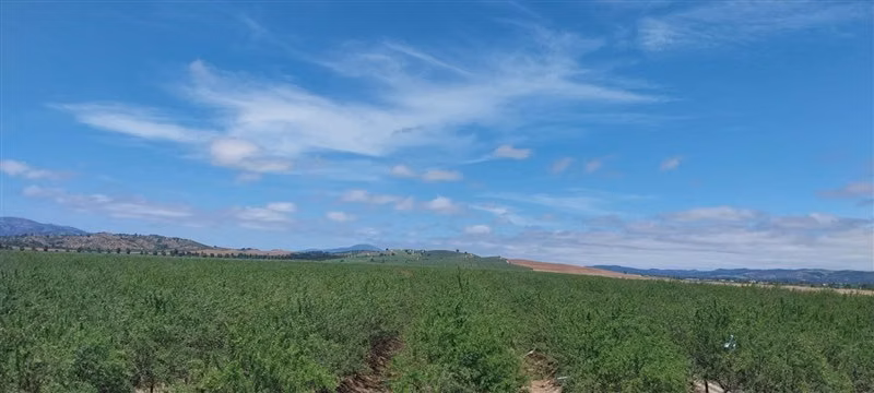 Agrícola en venta en Lolol