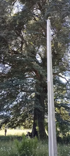 Dos hermosas parcelas con bosque nativo
