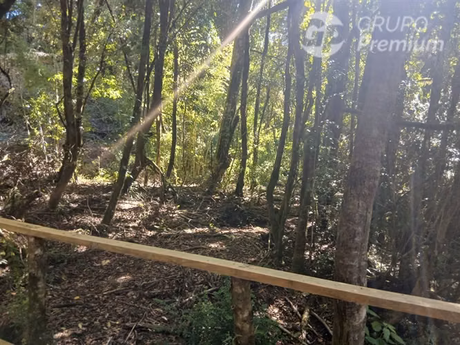 Parcela en venta en Cherquenco, cerca al parque Conguillio