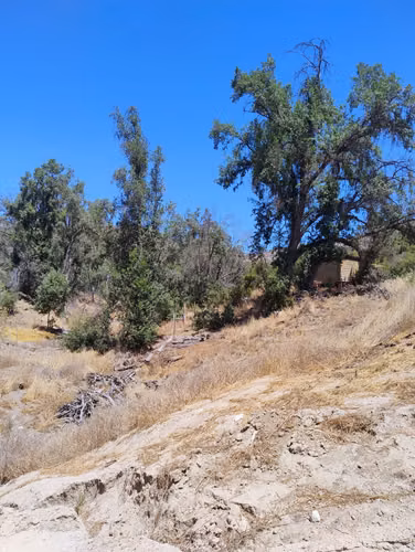 Parcela 5200mts. En Condominio Oasis De La Campana