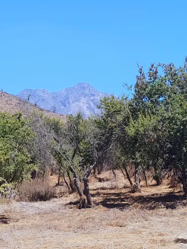 Parcela 5200mts. En Condominio Oasis De La Campana
