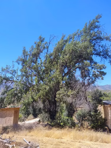 Parcela 5200mts. En Condominio Oasis De La Campana