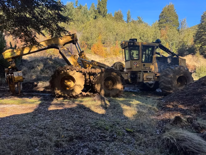 Línea de Cosecha Forestal Mecanizado
