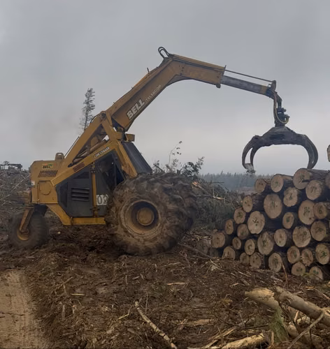 Línea de Cosecha Forestal Mecanizado