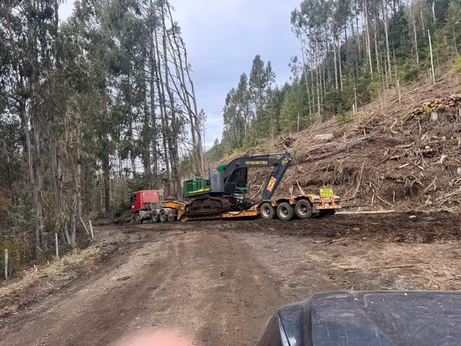 Línea de Cosecha Forestal Mecanizado