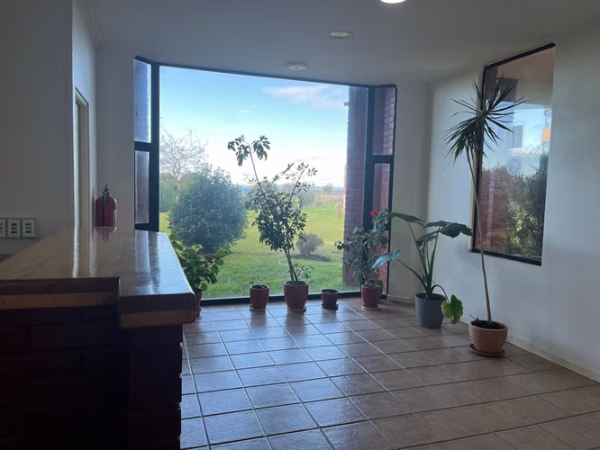 Excelente departamento vista al mar, Pelluco (166935)