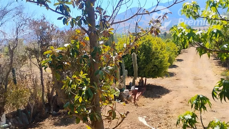 Parcela en venta en Curacaví 5300m2 +5d+3b+6est+1bodega
