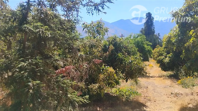 Parcela en venta en Curacaví 5300m2 +5d+3b+6est+1bodega