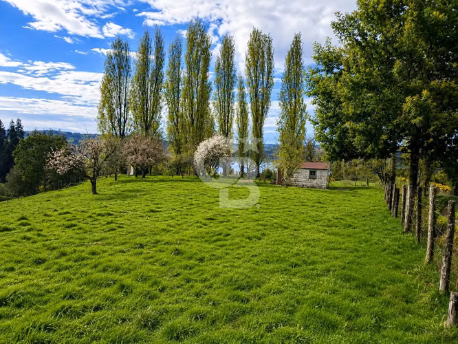 Gran terreno con vista privilegiada y plusvalía en Chiloé