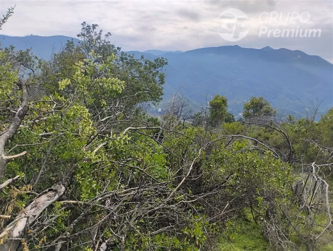 Parcela en venta en Curacaví - Imagen 7