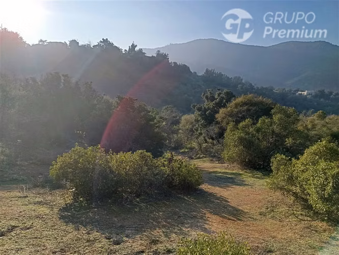 Parcela en venta en Curacaví 5000M2