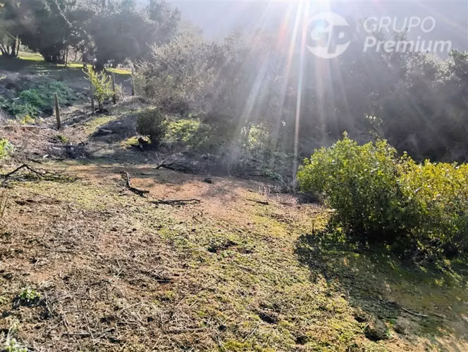 Parcela en venta en Curacaví 5000M2 - Imagen 7