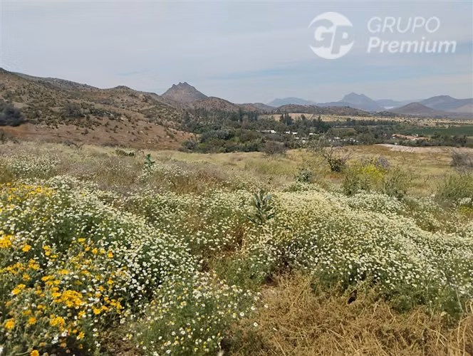 Parcela en venta en Colina 5000M2 - Imagen 10