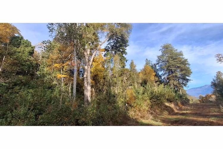 En venta terreno en pucón paraíso residencial - Imagen 25