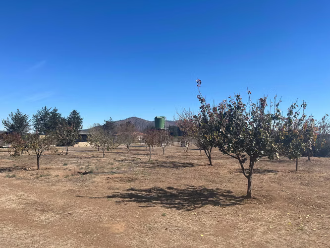 Oportunidad de Inversión en Terreno Amplio (167127)