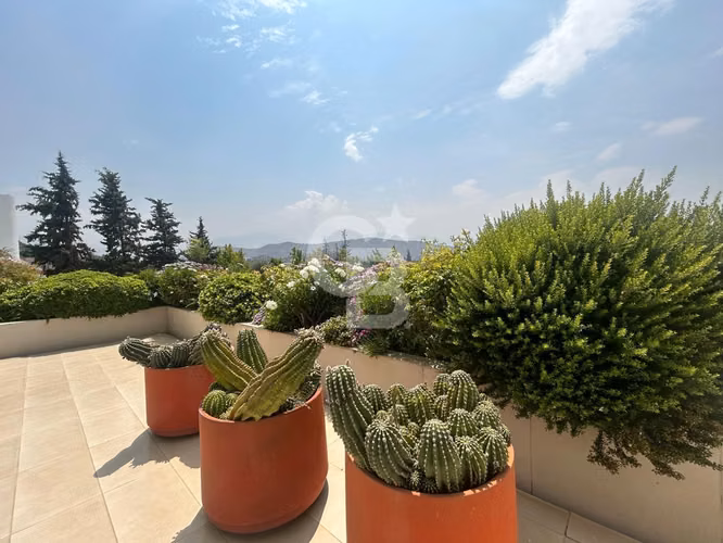 Lujoso penthouse con piscina privada