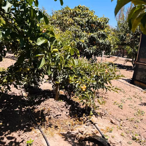 Parcela en venta en La Serena - Imagen 25