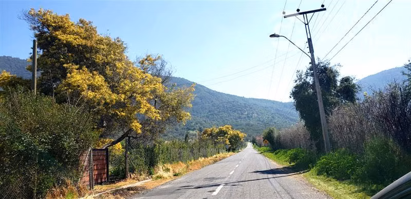 Parcela en venta en Alhué 16.400 mt2