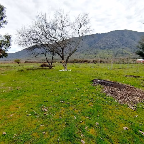 Parcela en venta en Alhué 16.400 mt2