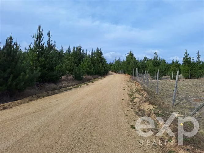 Vende Parcela casa 4d 2b 5000 m2 Pichilemu