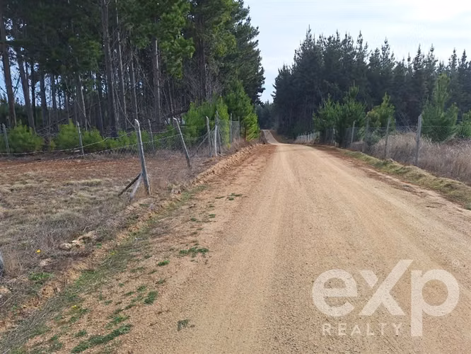 Vende Casa 4 dorm. 78m2 5000m2 en Pichilemu