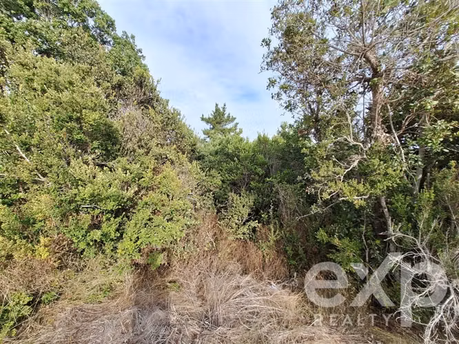Vende Terreno 5000m2 con casa 78m2 en Pichilemu