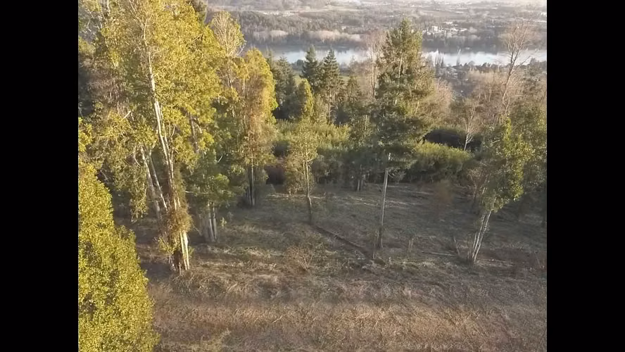 Naturaleza y Tranquilidad en Tu Nuevo Hogar (167485)