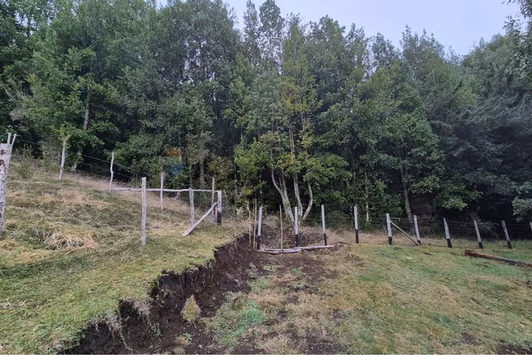 Espectacular terreno 3 ha. compu, chiloe