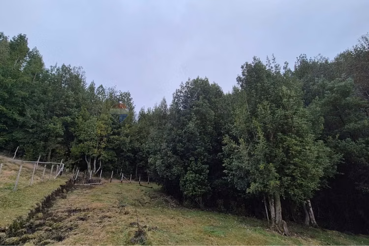 Espectacular terreno 3 ha. compu, chiloe