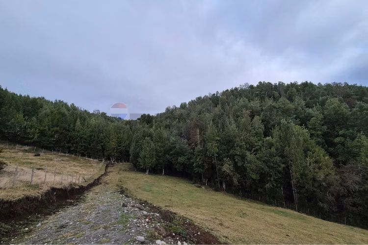 Espectacular terreno 3 ha. compu, chiloe